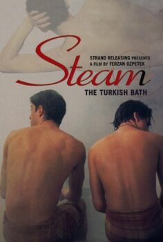 Steam: The Turkish Bath (Hamam)